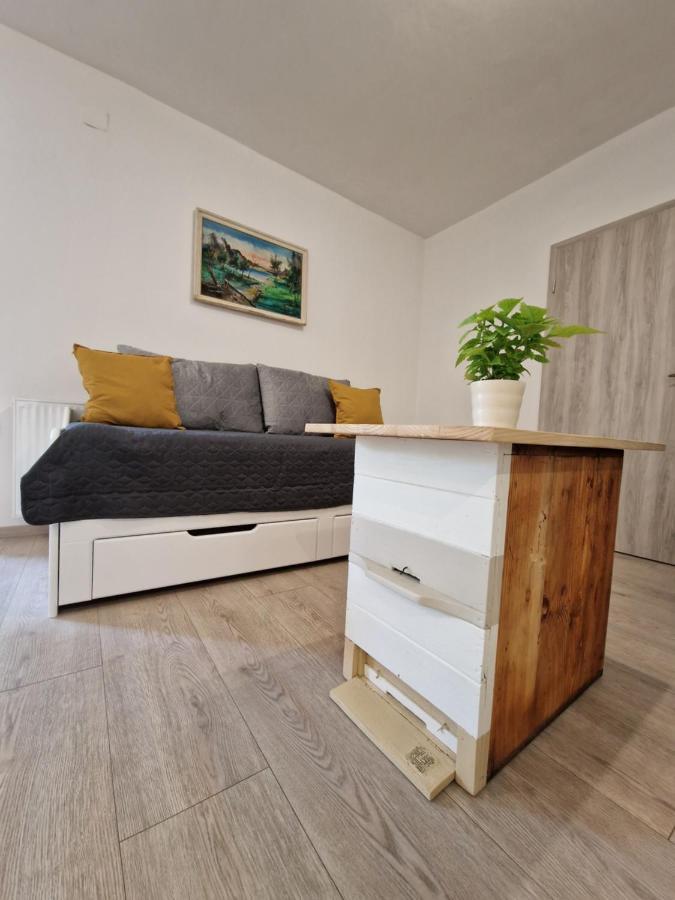 Apartmán Medeni Apartma Pivka Exteriér fotografie