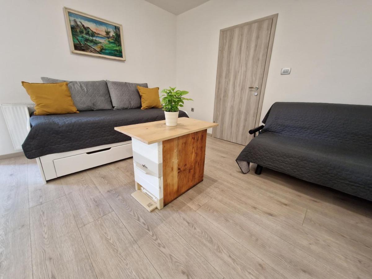 Apartmán Medeni Apartma Pivka Exteriér fotografie